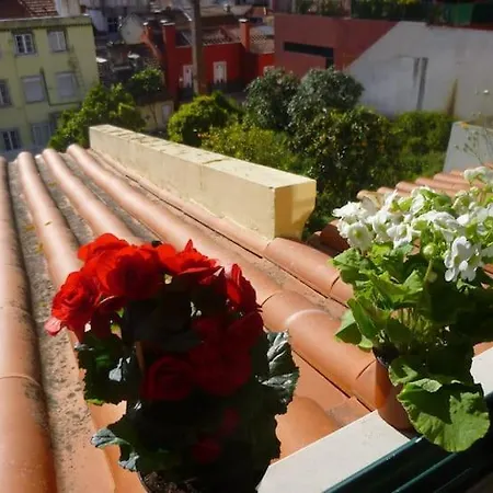 My Fair - Santos Duplex *